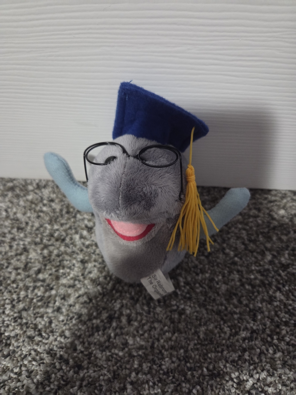 The OrganWise Guys Stuffed Toys Educational Replacement Sir Rebrum Brain